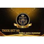 tiger bet 99